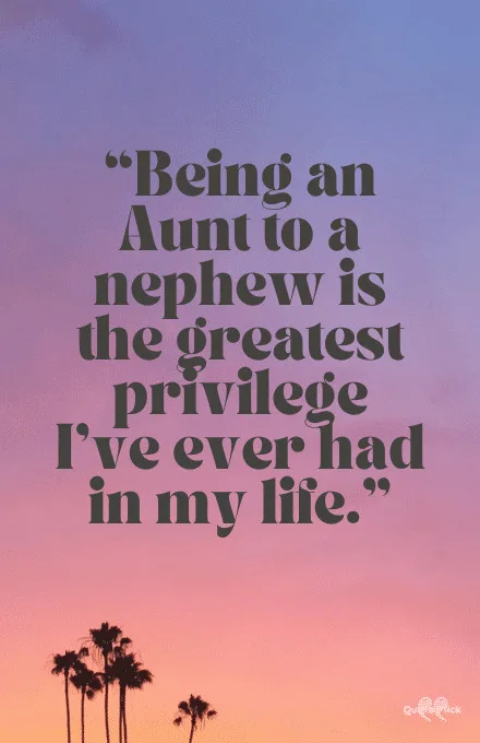 Being an aunt to a nephew quote