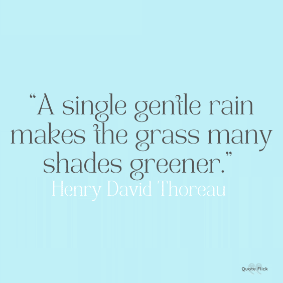 Gentle rain quote