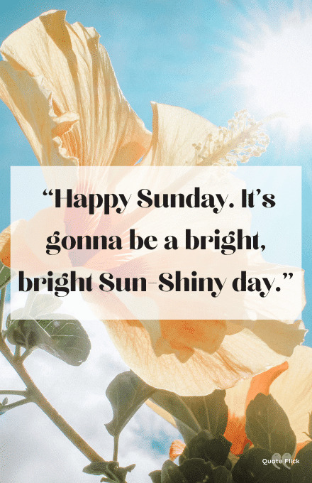 Happy sunday quotes