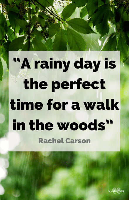 Rainy day quotes