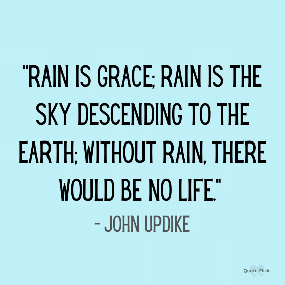 68 Best Rain Quotes For A Rainy Day (Brighten Your Mood)