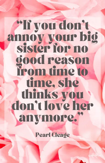 Sister love quotes