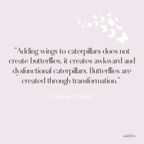 Best quote about butterflies