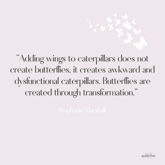 Best quote about butterflies