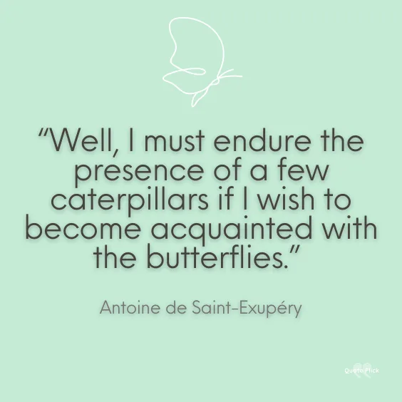 Butterflies quote