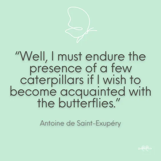 Butterflies quote