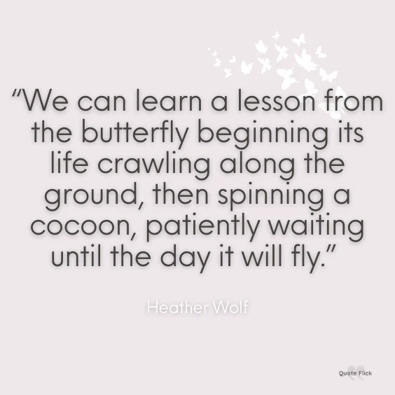 Butterfly inspirational quote