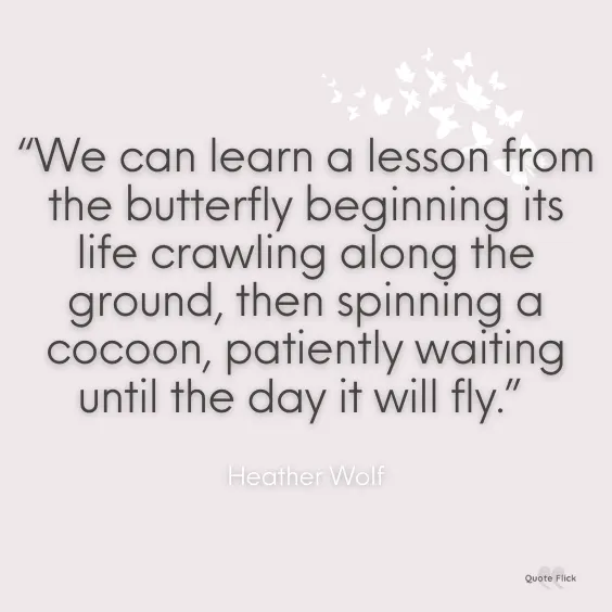 Butterfly inspirational quote