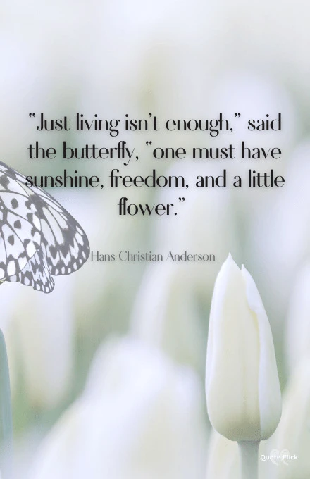 Butterfly quote