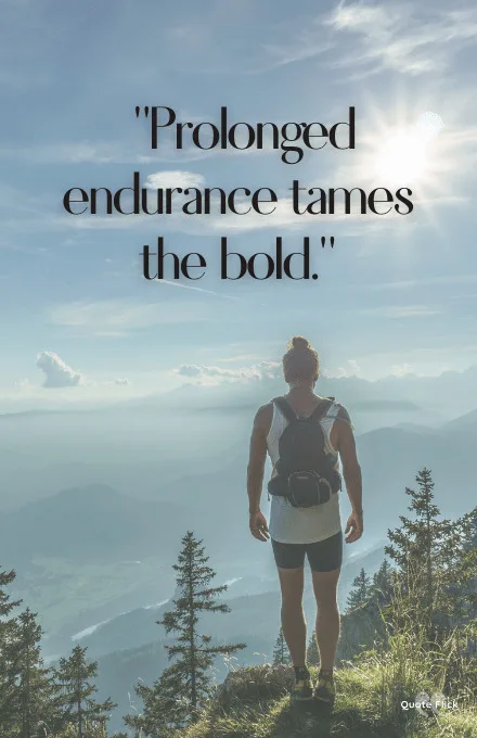 Endurance quote