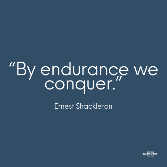 Endurance sayings