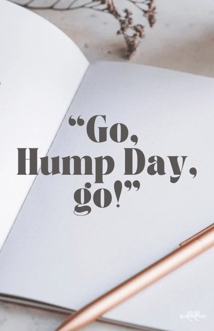 Hump day quotes