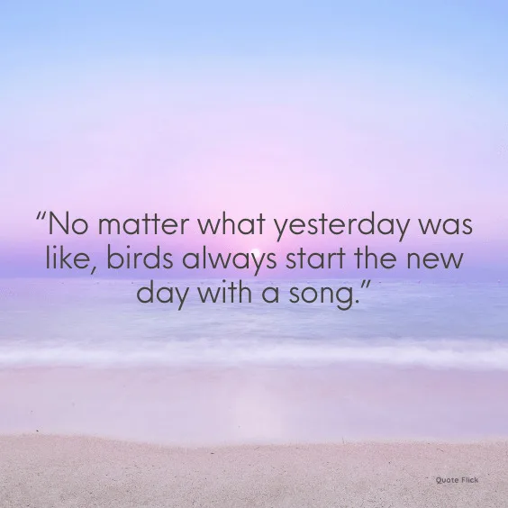 New day new start quotes