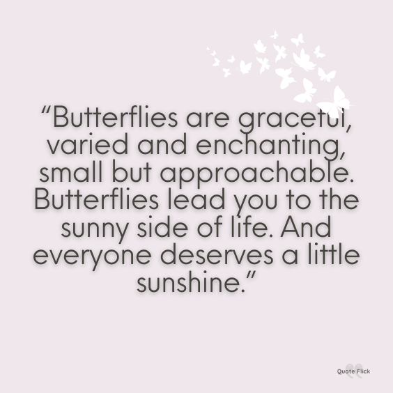 Quote about butterflies and life