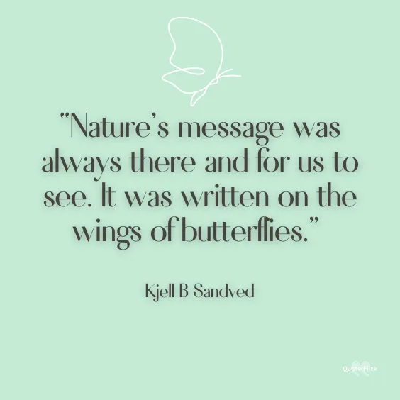 Quote butterflies