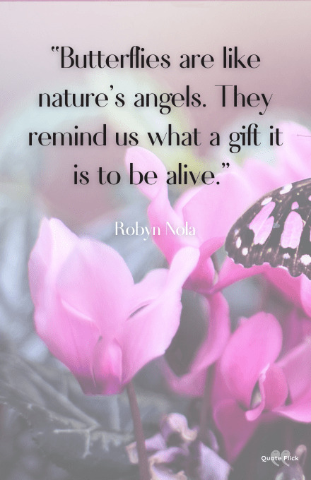 Quotes about butterflies and angels