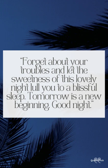Quotes about night