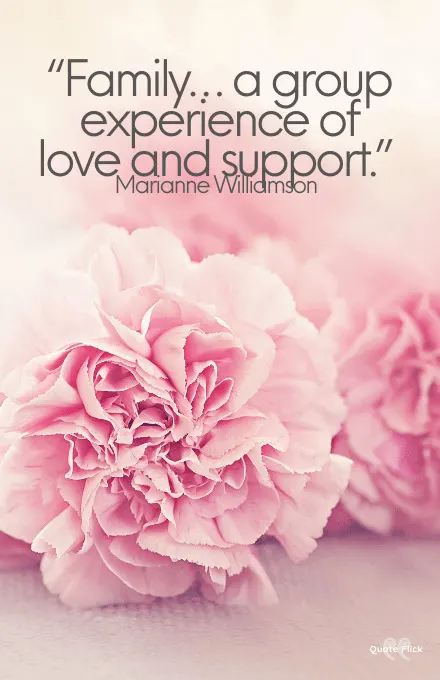 Quotes of support