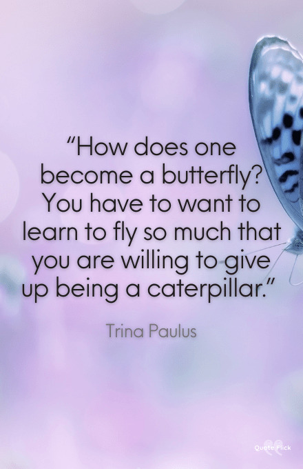 Quotes on butterflies