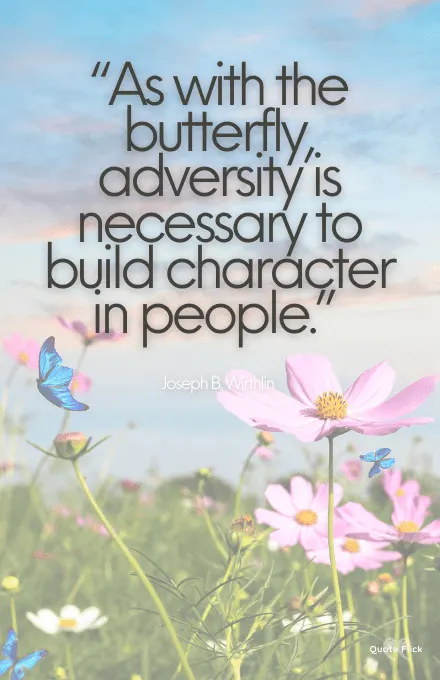 Quotes on butterfly