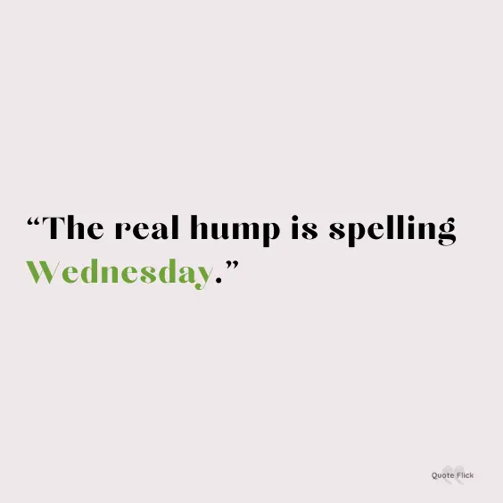 Real hump day wednesday quote