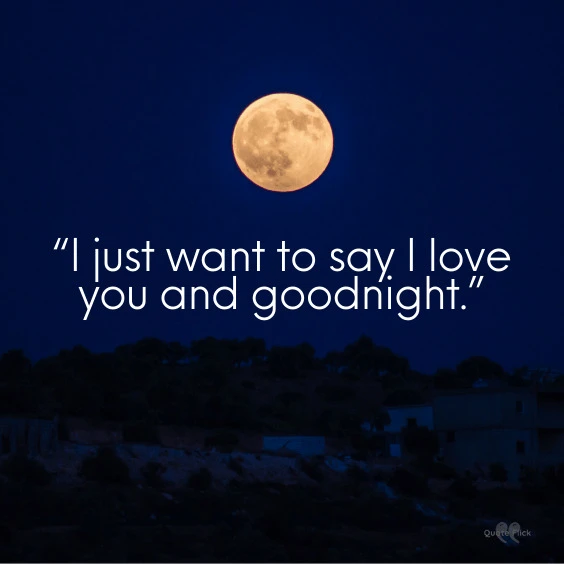 Say goodnight quotes