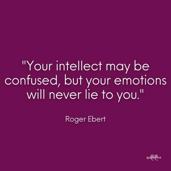 Quotes on confused love