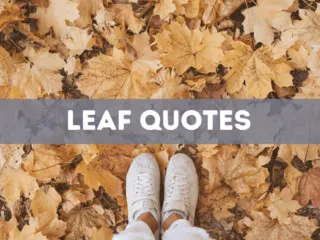 30 leaf quotes