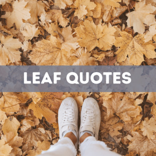 30 leaf quotes