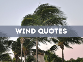 30 wind quotes