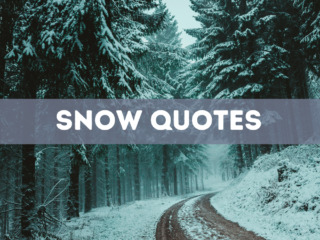 40 snow quotes