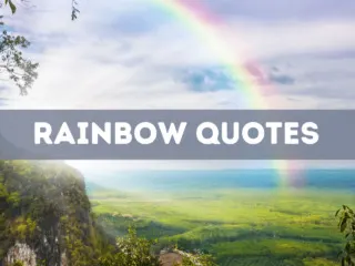 50 Rainbow Quotes