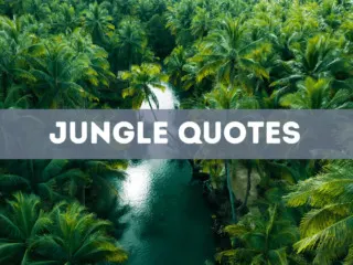 52 jungle quotes