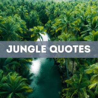 52 jungle quotes