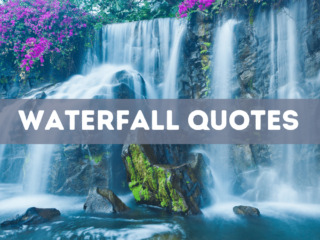 55 waterfall quotes