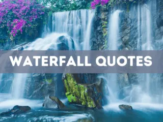 55 waterfall quotes