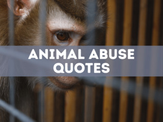 60 Animal Abuse Quotes