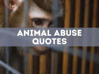 60 Animal Abuse Quotes
