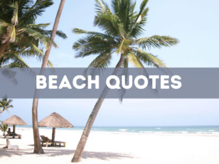 65 beach quotes