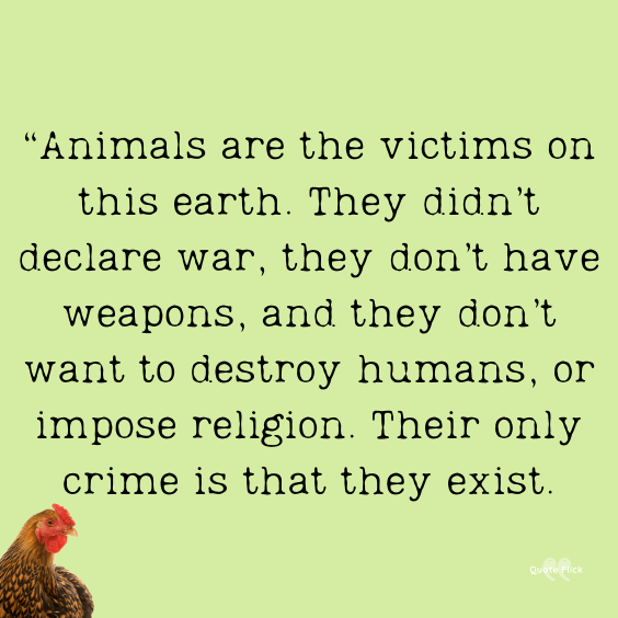 Against animal abuse quotes