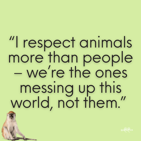 Against animal cruelty quotes