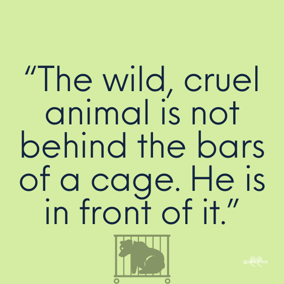 Animal abandonment quotes