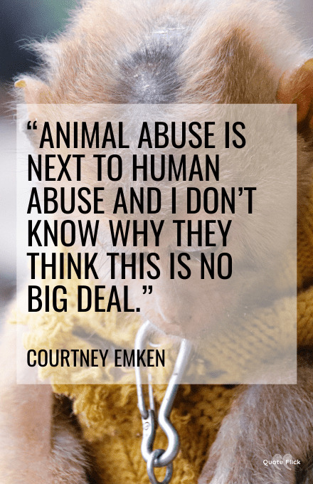 Animal abuse quotations