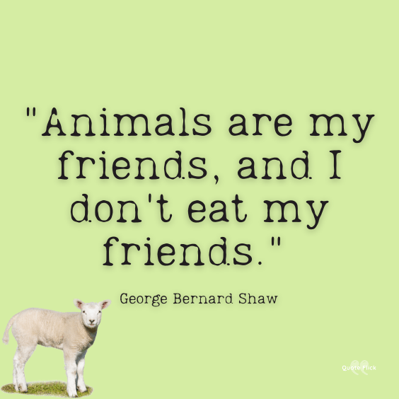 Animal abuse slogans