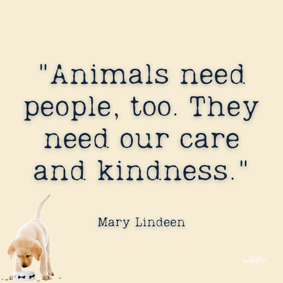 Animal care quotes