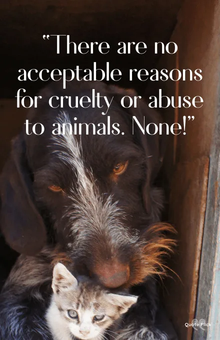 Animals cruelty quotes
