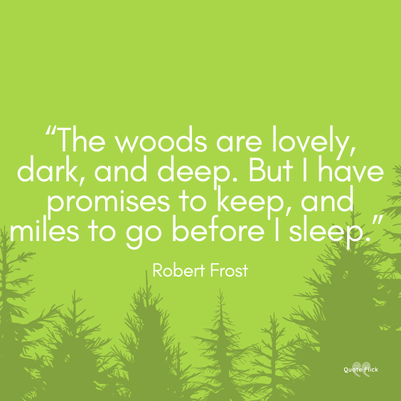 Dark forest quotes