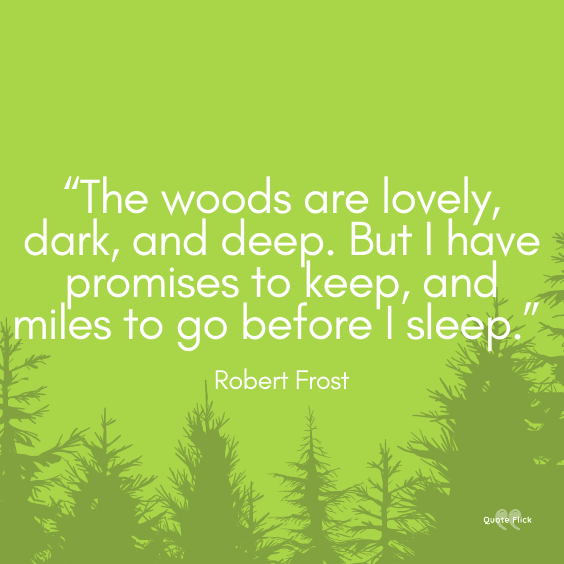 Dark forest quotes