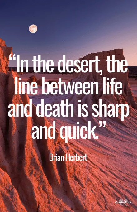 Desert life quotes