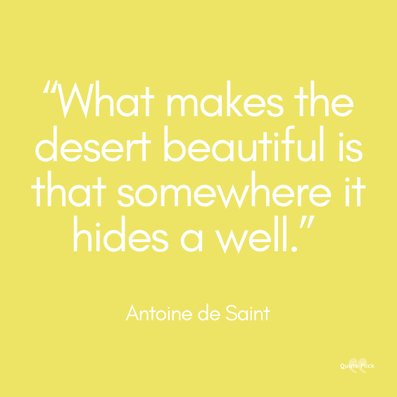 Desert quotes sayings